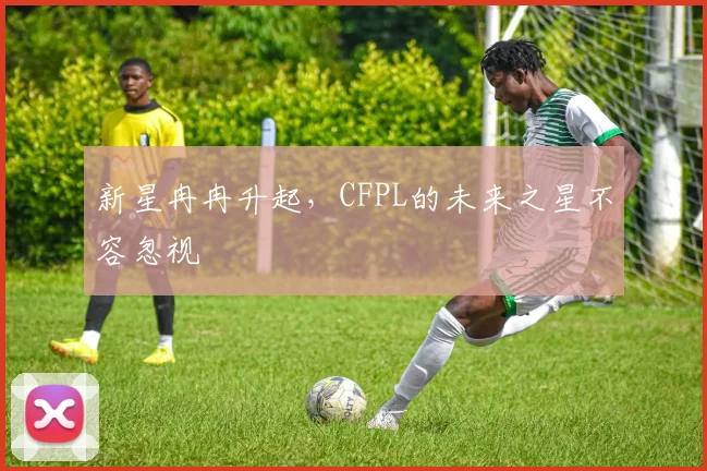 新星冉冉升起,CFPL的未来之星不容忽视