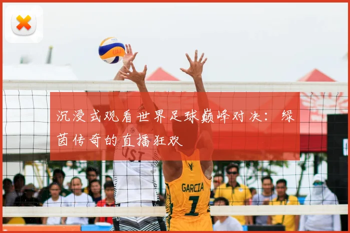 沉浸式观看世界足球巅峰对决:绿茵传奇的直播狂欢